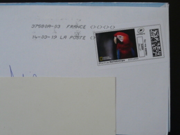 Perroquet Parrot National Geographic Timbre En Ligne Montimbrenligne Sur Lettre (e-stamp On Cover) TPP 4837 - Sellos Imprimibles (Montimbrenligne)