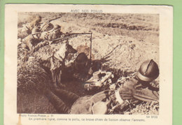 Chien De Liaison En Première Ligne. Armée Française. 2 Scans. Edition Dolly - War 1939-45