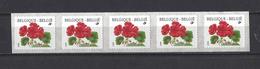 Belgique: R91 ** (Fin De Rouleau) - Coil Stamps