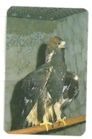 1988 Pocket Poche Calendar Calandrier Calendario Portugal Aves Selvagens Zoo Da Maia Aguia Imperial Eagle Aigle - Grand Format : 1981-90