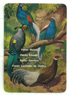 1986 Pocket Poche Calendar Calandrier Calendario Portugal Aves Selvagens Pavões Peacocks Paons Pavos Reales N 5/6 - Grand Format : 1981-90