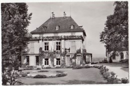 Schloss Arenenberg - Napoleon-Museum - Castle - Museum - 1211 - Switzerland - Old Postcard - Unused - Autres & Non Classés