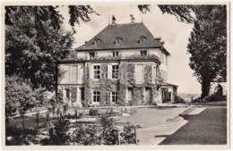 Schloss Arenenberg - Napoleon-Museum - Castle - Museum - 02064 - Switzerland - Old Postcard - Unused - Autres & Non Classés