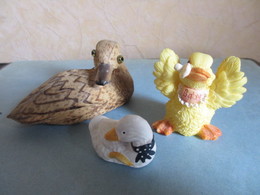 LOT 3 CANARDS FIGURINES OISEAUX COLLECTION - Vogels - Eenden