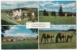 La Courtine - Franches-Montagnes - Horse - Switzerland - Unused - Court