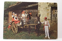 ATTELAGE   -ANE   - Groupe D'ISPOURE  - FOLKLORE  PAYS BASQUE - ( Pas De Reflet Sur L'original ) - Attelages