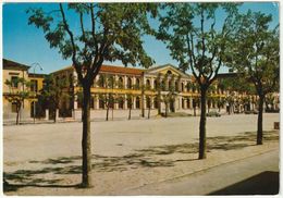 BADIA POLESINE - ROVIGO - PIAZZA MARCONI - SCUOLE ELEMENTARI -41289- - Rovigo