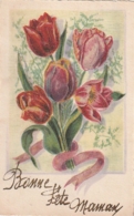 ***  Illustrateur Bonne Fête Maman  Tulipes Granités  écrite TTB - Fête Des Mères