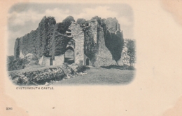 *** GLAMORGAN ***  OYSTERMOUTH CASTLE - Unused TTB - Glamorgan