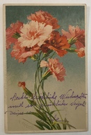 AK  CATHARINA KLEIN  SIGNED POSTCARD  1907. - Aicard