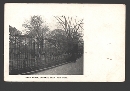 New York City - Deer Rance, Central Park - Authorized By Act Of Congress Of May 19 - 1898 - Central Park