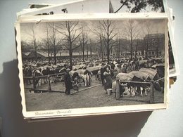 Nederland Holland Pays Bas Leeuwarden Met Veemarkt Koeien - Leeuwarden