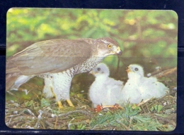 1986 Pocket Poche Calendar Calandrier Calendario Portugal Aves Rapibna Birds Of Prey Oiseaux Pajaros Açor Gavião - Grand Format : 1981-90
