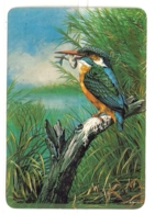 1989 Pocket Poche Calendar Calandrier Calendario Portugal Aves Oiseaux Pajaros Guarda-rios Martin-pecheur Kingfisher - Grand Format : 1981-90