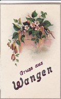 AK Gruss Aus Wangen - Blumen - Glitter-Deko  - Feldpost 1918 (47751) - Wangen I. Allg.