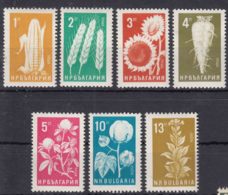 Bulgaria 1965 Plants Mi#1522-1528 Mint Never Hinged - Unused Stamps
