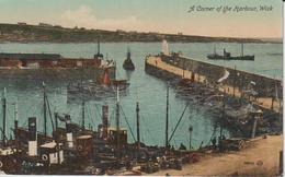 ECOSSE CAITHNESS WICK A CORNER OF THE HARBOUR - Caithness