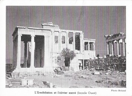 Acropole D'Athènes - L'Erechtéion Et L'olivier Sacré (façade Ouest) Carte-Photo Roland - Greece