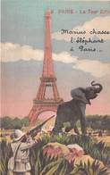 75-PARIS-TOUR EIFFEL-MARIUS CHASSE L'ELEPHANT A PARIS - Tour Eiffel