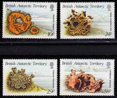 British Antarctic Territory-1989, Lichens, Mi.152-155, MNH** - Pilze