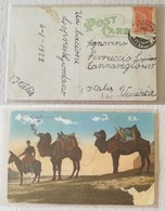 Cartolina Dalla Grecia Per Venezia - 10/08/1922 - Briefe U. Dokumente