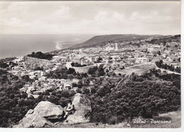 PALMI - REGGIO CALABRIA - PANORAMA - VIAGG. 1962 -23504- - Reggio Calabria