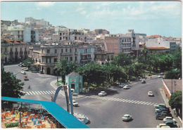 REGGIO CALABRIA - PANORAMA VISTO DALLA TERRAZZA DEL "ROOF GARDEN" -26372- - Reggio Calabria