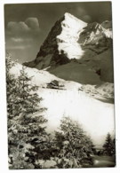 Wengernalp  Mit Eiger - Enge