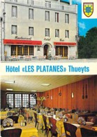 07 - THUEYTS :  Bar Hotel Restaurant LES PLATANES - CPSM Village ( 1.050 Habitants ) Grand Format - Ardèche - Autres & Non Classés