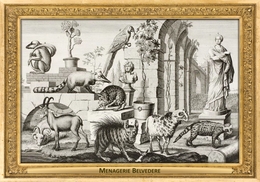 M035 Zoo - Menagerie Belvedere, AT - Salomon Kleiner, 1734 - Hyena, Coati, Lemur, Civet... - Belvedere