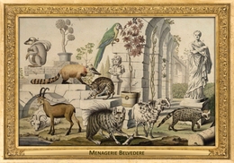 M036 Zoo - Menagerie Belvedere, AT - Salomon Kleiner, 1734 - Hyena, Coati, Lemur, Civet... - Belvedere