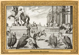 M037 Zoo - Menagerie Belvedere, AT - Salomon Kleiner, 1734 - Vultures - Belvedere