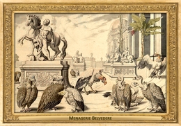 M038 Zoo - Menagerie Belvedere, AT - Salomon Kleiner, 1734 - Vultures - Belvedere