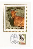 Carte Maximum 1969 - Le Mouflon - YT 1613 - Paris - 1960-69