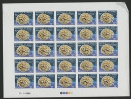 DJIBOUTI N° 647 FEUILLE COMPLETE DE 25 Ex. MNH ** Non Dentelés (imperforated) LABOPHYLLIA COSTATA Lobed Cactus Coral - Mundo Aquatico