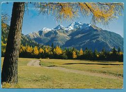 Lenzerheide-Lantsch / Lenz 1300 M - Bergünerstöcke, Piz Aela, Tinzenhorn And Piz Michél - Bergün/Bravuogn