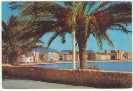 Benidorm - (Espana)  - N.o 8   - (Espana/Spain) - Alicante