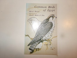 Common Birds Of Egypt Par Bruun, 1985, - Altri & Non Classificati