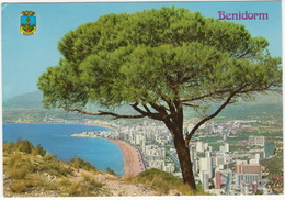 1 Benidorm (Espana) -  Panorámica  - (Espana/Spain) - Alicante