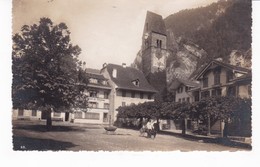 SUISSE(UNTERSEEN) ARBRE - Unterseen