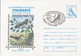 BIRDS, HOUSE SPARROW, COVER STATIONERY, ENTIER POSTAL, 1995, ROMANIA - Passeri