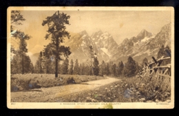 USA - A Roadside Stady - Jackson Hole County / Postcard Not Circulated - Andere & Zonder Classificatie