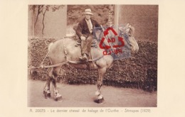 Le Dernier Cheval De Halage De L'Ourthe - STREUPAS (1929) - Carte Animé - Paarden