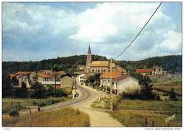 Carte Postale 52. Doulaincourt-Saucourt Très Beau Plan - Doulaincourt