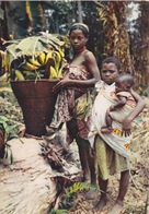 REPUBLIQUE DU GABON  - ENFANTS A LA CUEILLETTE DES BANANES - Gabon