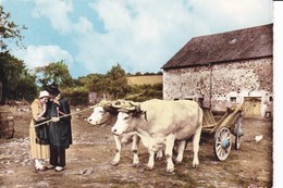 "LES GALVACHERS" Troupe Folklorique Morvandelle - CHATEAU-CHINON - Chateau Chinon