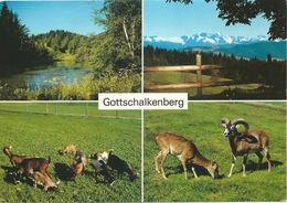 Menzingen - Gottschalkenberg  (4 Bilder)       Ca. 1980 - Menzingen