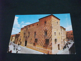 Delcampe - CONCHIGLIA Shell COQUILLES CONCHAS CONCH MUSCHEL PARTICOLARE PALAZZO CASA DE LAS CONCHAS SALAMANCA - Salamanca