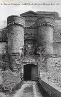 66)    SALCES - Environs De Perpignan - La Porte Du Chateau Fort - Salses