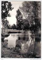 Carte Postale 72. Marolles-les-Braults   Le Pont De Bois Trés Beau Plan - Marolles